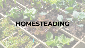Picture of a garden with text reading "Homesteading" 